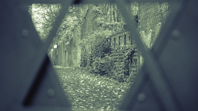 book_berlin for jews