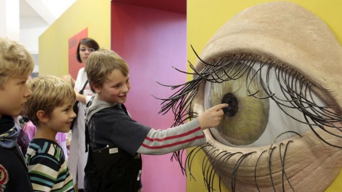 hygiene-museum