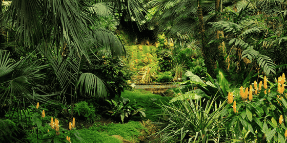 palmengarten
